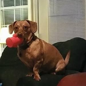 Meet your Posher, Sherry